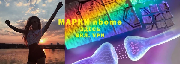 хмурый Алексин