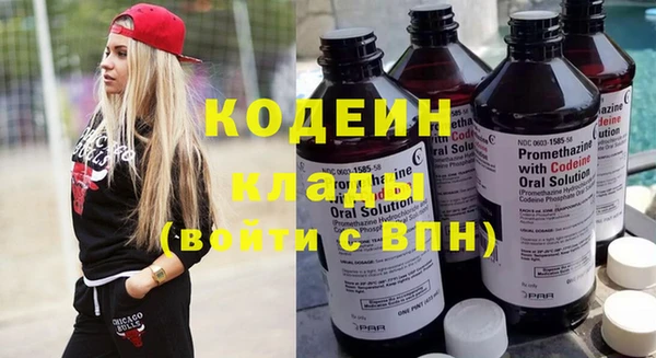 хмурый Алексин
