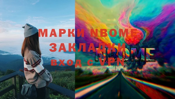 хмурый Алексин