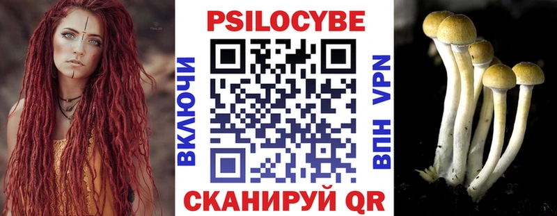 купить  цена  Закаменск  Галлюциногенные грибы мухоморы 